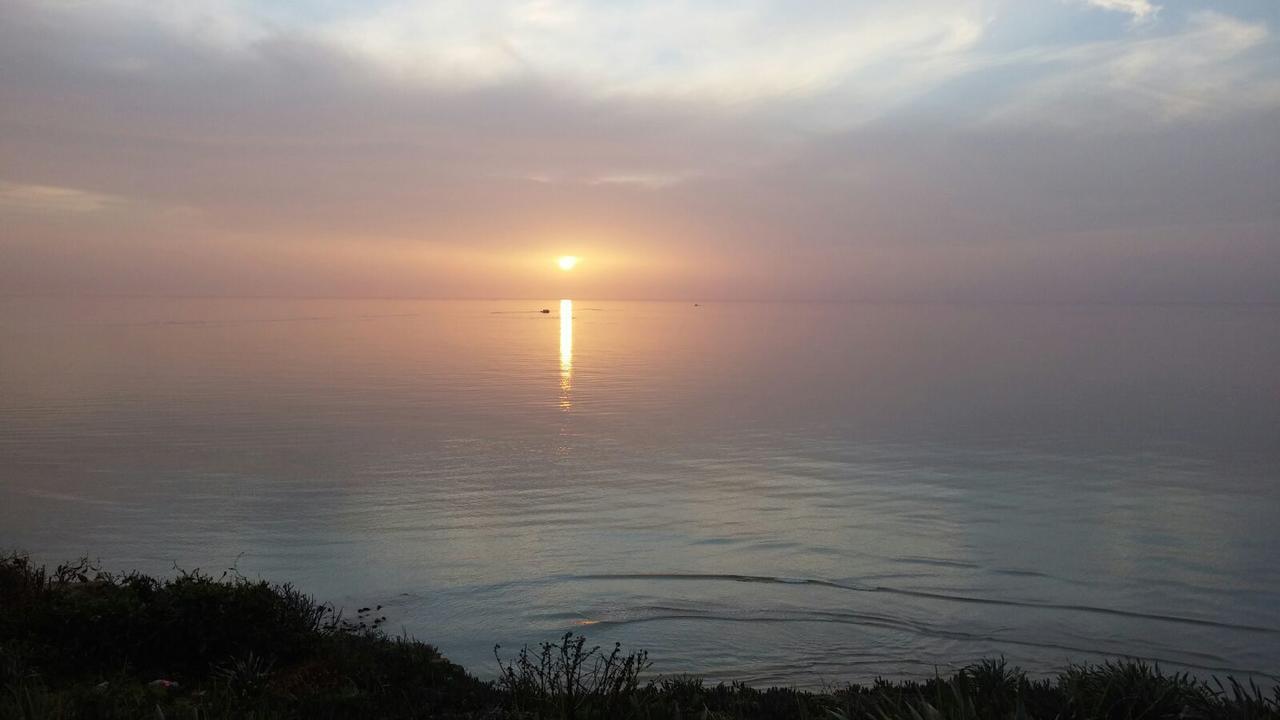 Royal Sea Studio Netanya Dış mekan fotoğraf